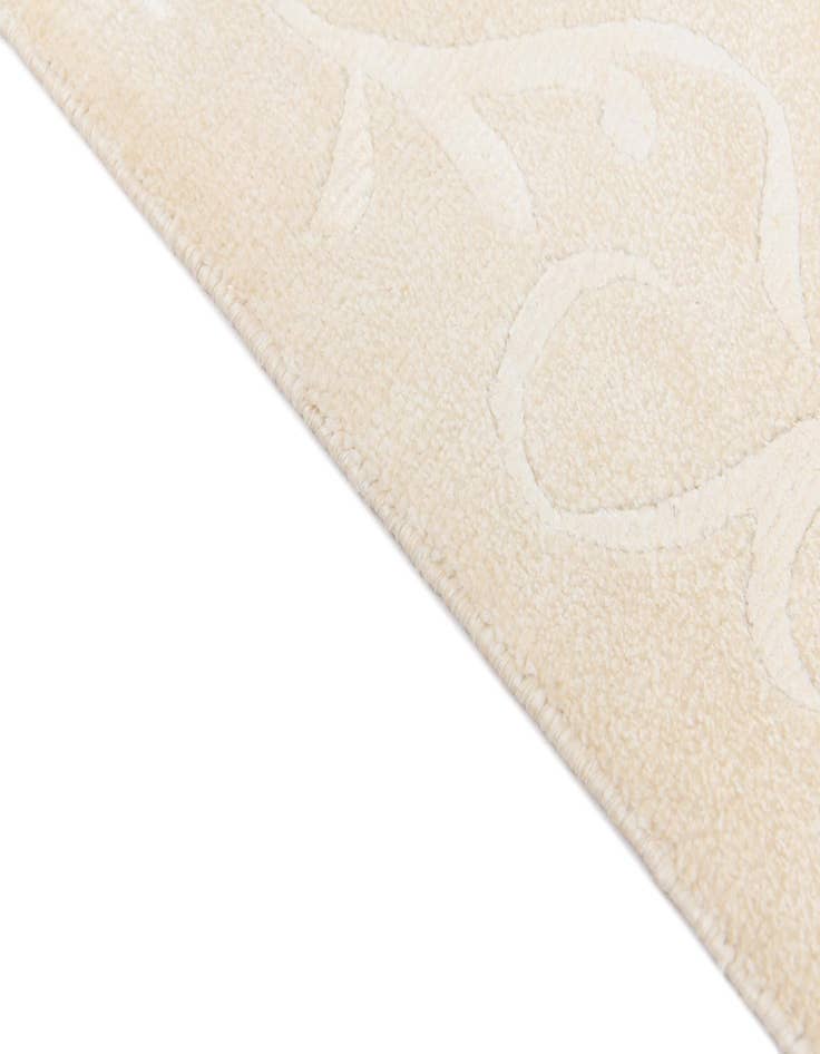 Detail image of 6' 6 x 9' 11  Hand Knotted Darya Wool Rug