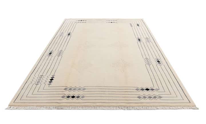 6' 6 x 9' 11 Hand Knotted Darya Wool Rug