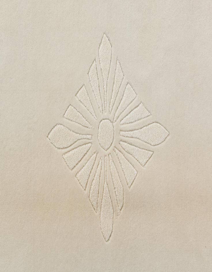 Detail image of 6' 6 x 9' 11  Hand Knotted Darya Wool Rug