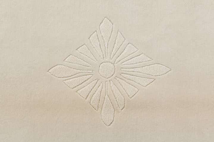 6' 6 x 9' 11 Hand Knotted Darya Wool Rug