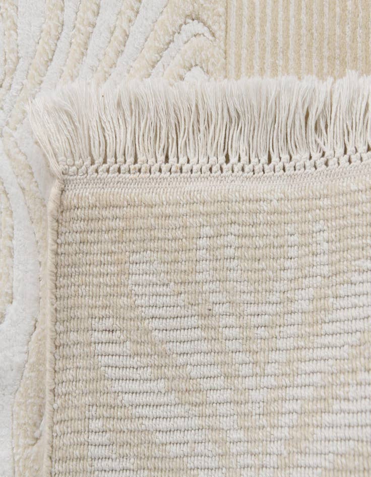 Detail image of 6' 8 x 9' 8 Hand Knotted Darya Wool Rug