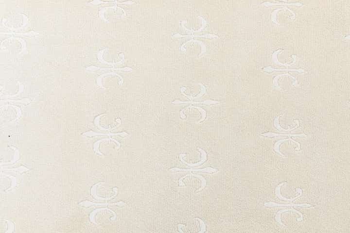 6' 8 x 9' 10 Hand Knotted Darya Wool Rug