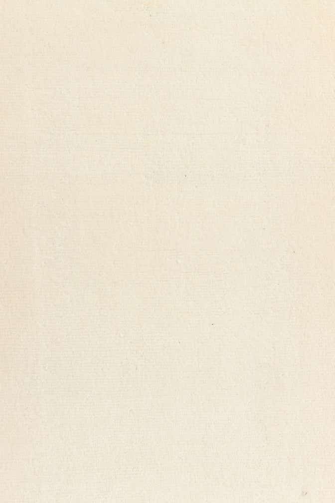 6' 8 x 9' 7 Hand Knotted Darya Wool Rug