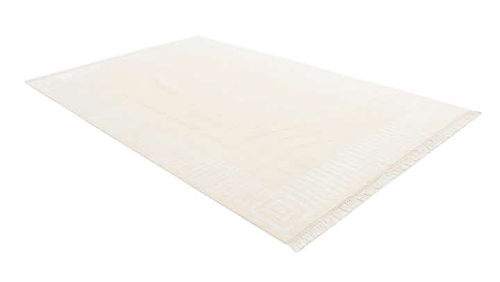 6' 7 x 9' 11 Hand Knotted Darya Wool Rug
