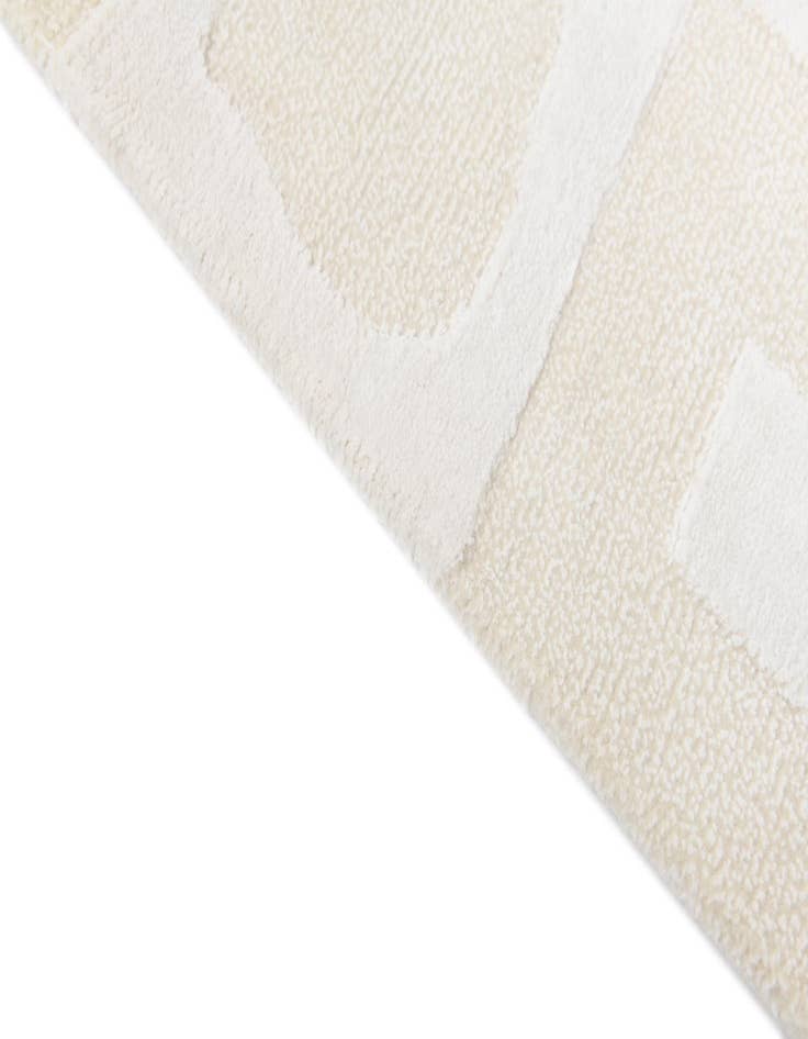 Detail image of 6' 8 x 9' 11  Hand Knotted Darya Wool Rug