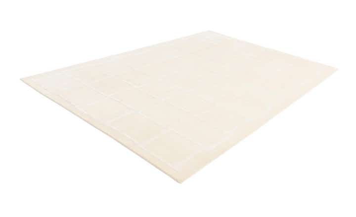 6' 9 x 10' Hand Knotted Darya Wool Rug