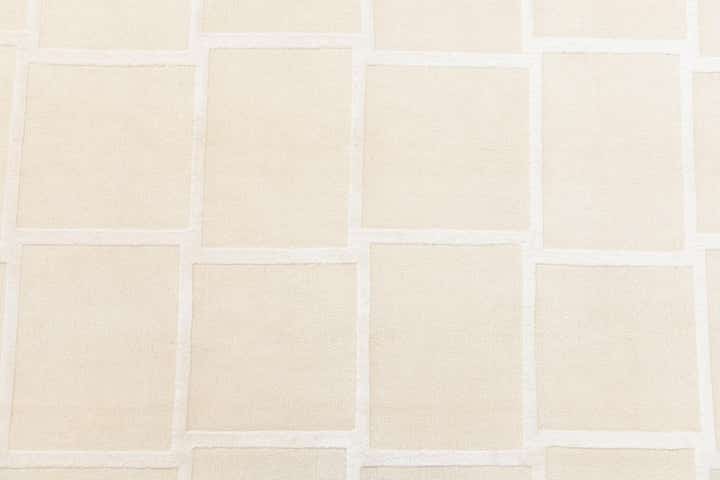 6' 9 x 10' Hand Knotted Darya Wool Rug