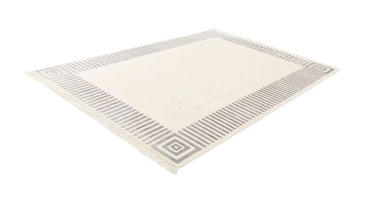 6' 7 x 9' 9 Hand Knotted Darya Wool Rug