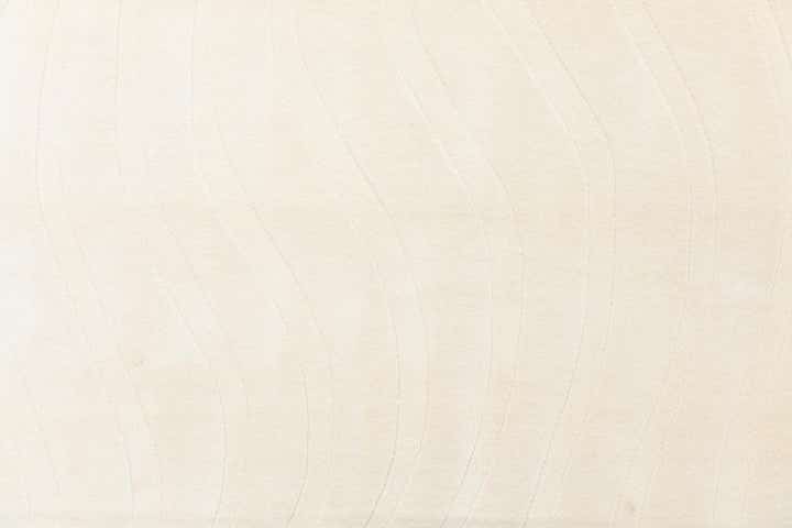 6' 7 x 9' 9 Hand Knotted Darya Wool Rug