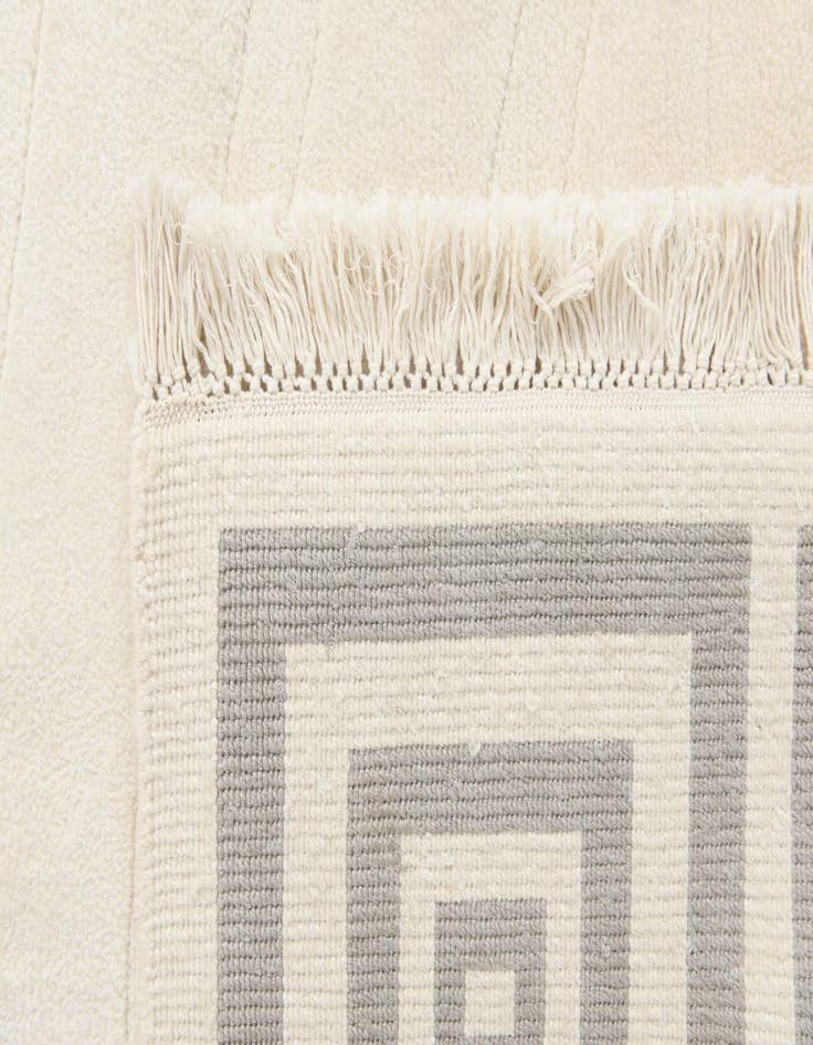 Detail image of 6' 7 x 9' 9  Hand Knotted Darya Wool Rug