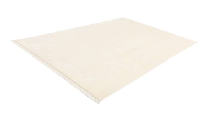 6' 7 x 9' 11 Hand Knotted Darya Wool Rug