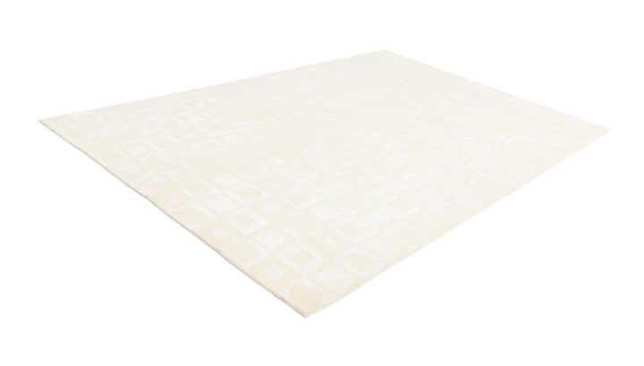 6' 9 x 10' 3 Hand Knotted Darya Wool Rug