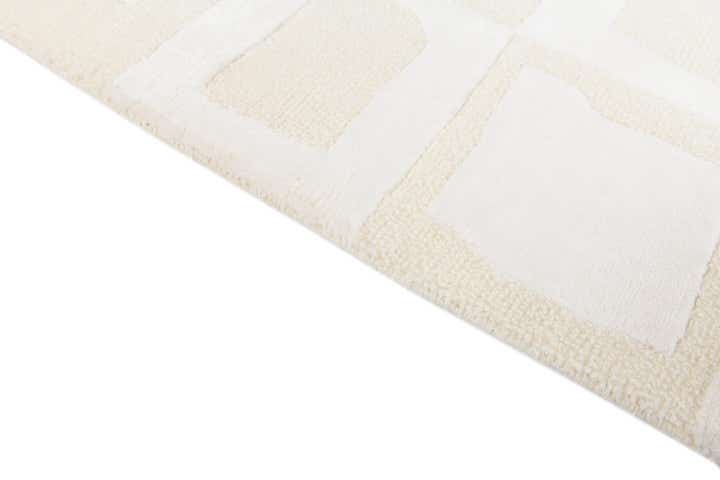 6' 9 x 10' 3 Hand Knotted Darya Wool Rug
