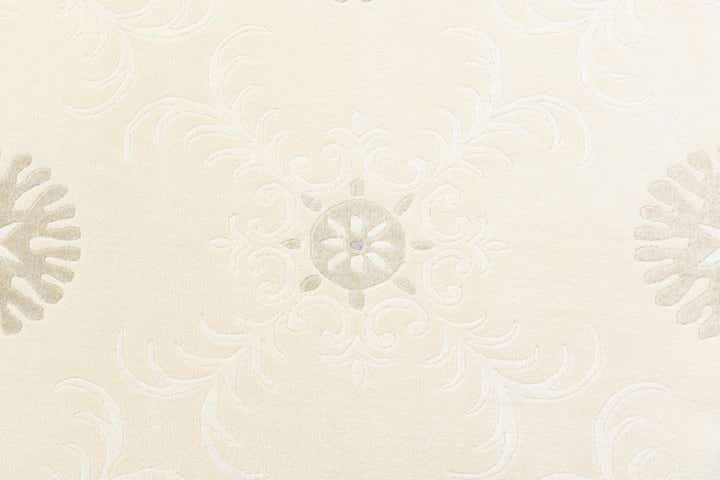 6' 11 x 9' 9 Hand Knotted Darya Wool Rug