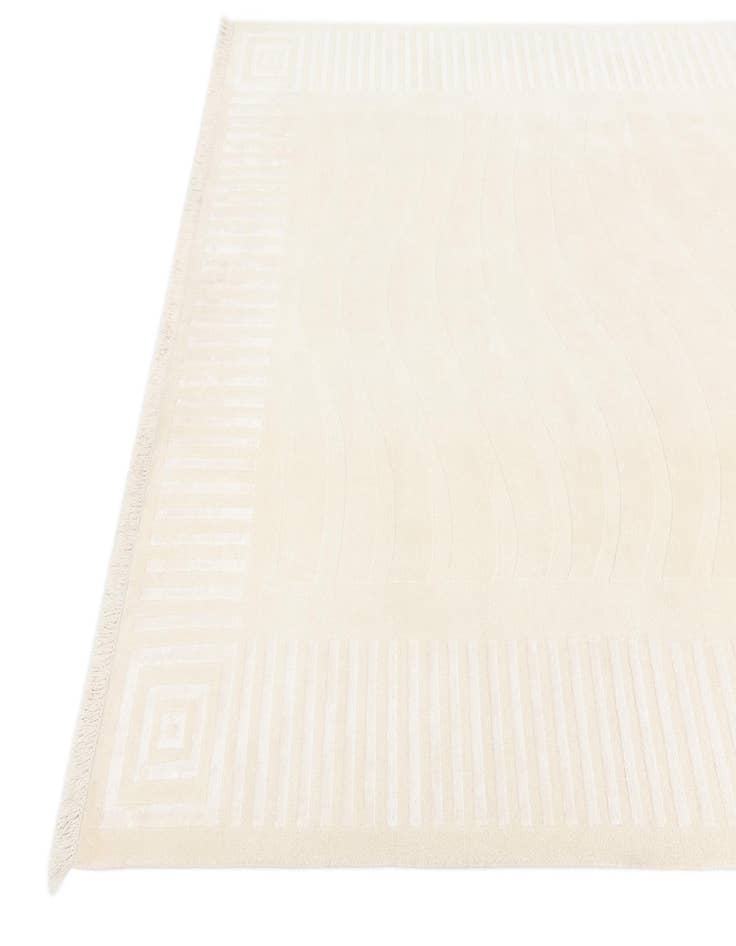 Detail image of 6' 7 x 9' 10  Hand Knotted Darya Wool Rug