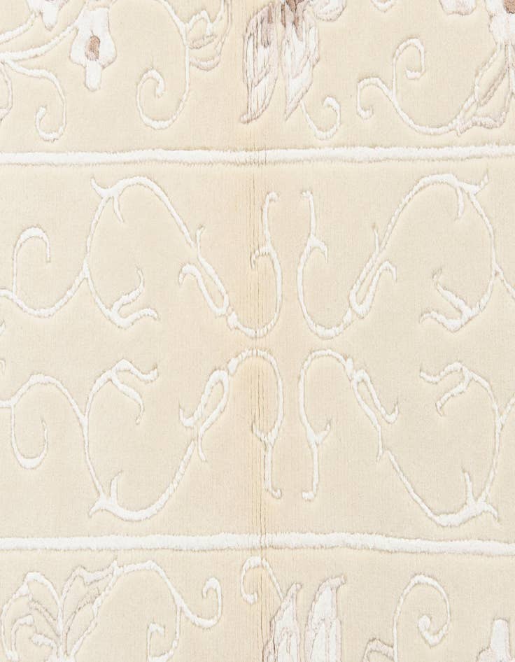 Detail image of 2' 8 x 4' 8  Hand Knotted Darya Wool Rug