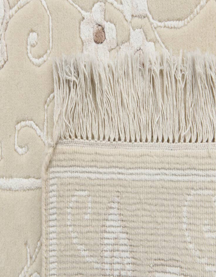 Detail image of 2' 8 x 4' 8  Hand Knotted Darya Wool Rug