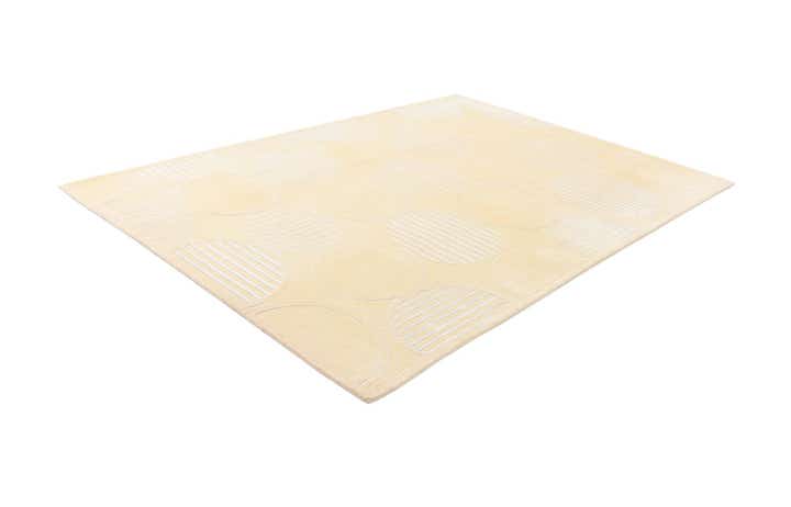 6' 7 x 9' 9 Hand Knotted Darya Wool Rug