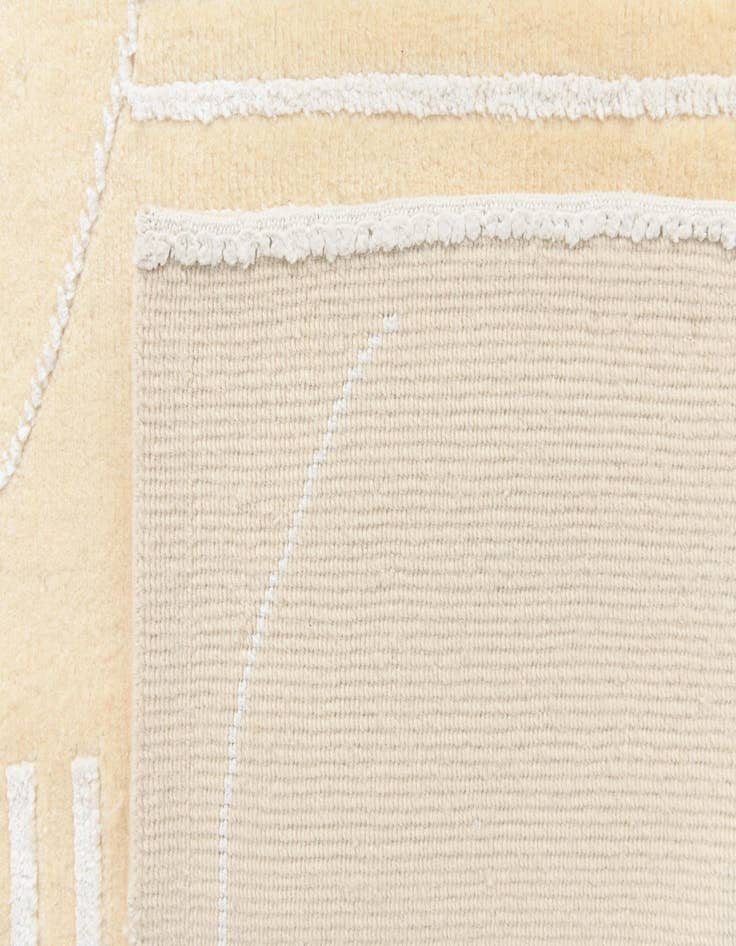 Detail image of 6' 7 x 9' 9  Hand Knotted Darya Wool Rug