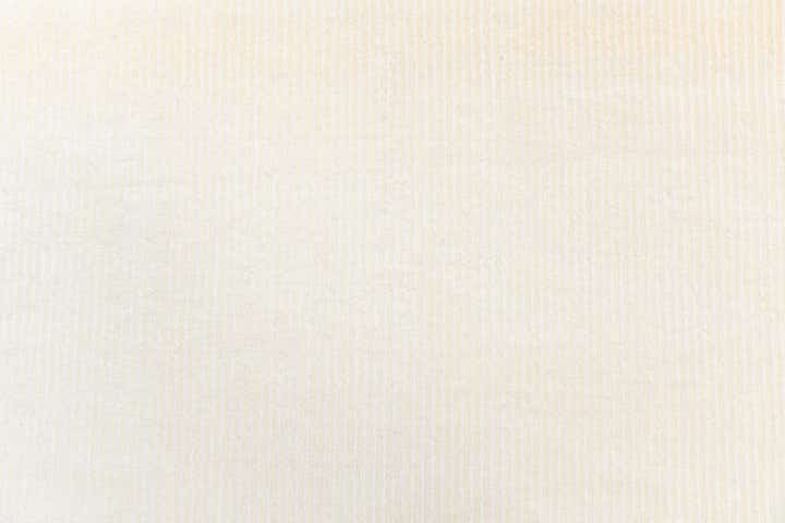 6' 7 x 9' 10 Hand Knotted Darya Wool Rug