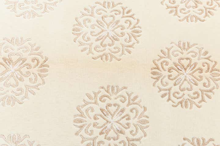 4' 10 x 6' 5 Hand Knotted Darya Wool Rug