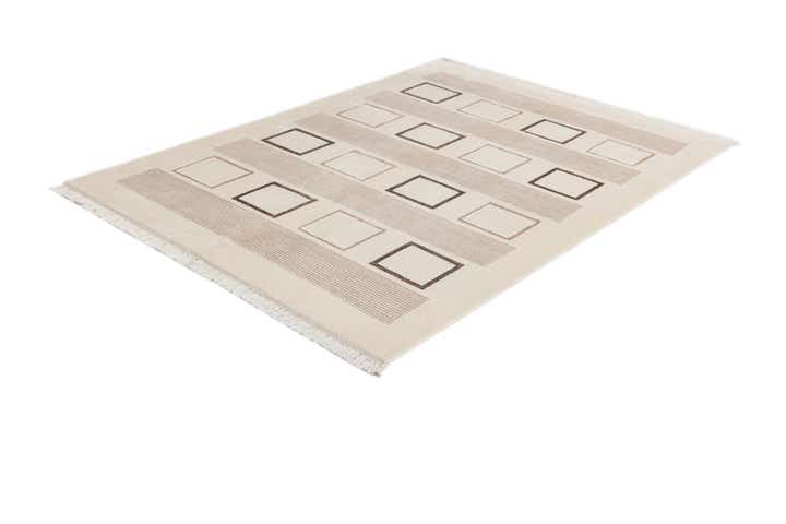 4' 10 x 6' 9 Hand Knotted Darya Wool Rug