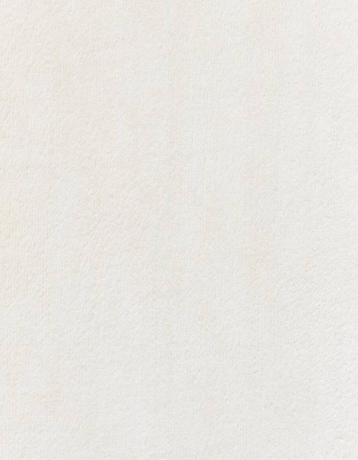 Detail image of 2' 8 x 5' 1  Hand Knotted Darya Wool Rug