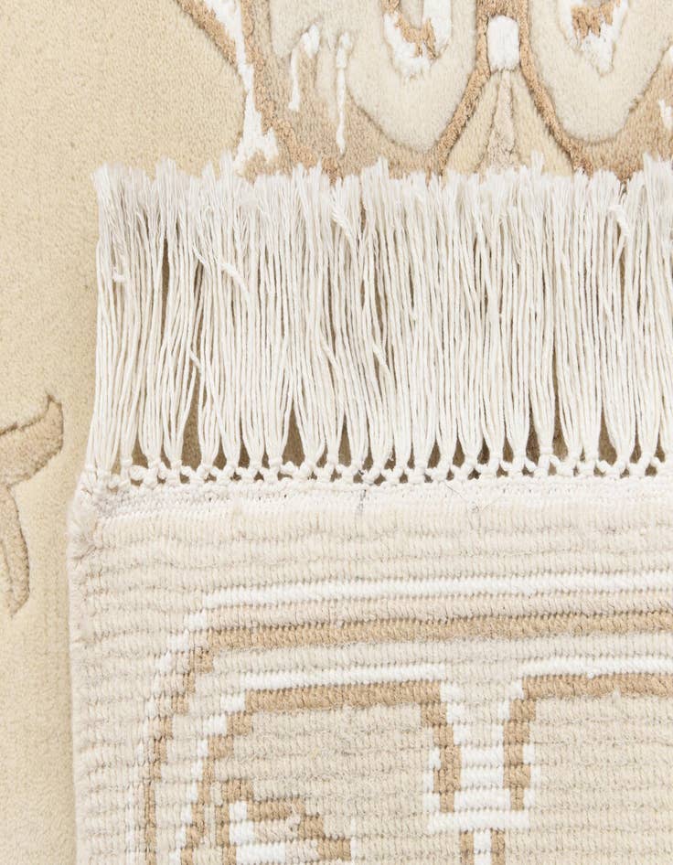 Detail image of 2' 8 x 4' 9  Hand Knotted Darya Wool Rug