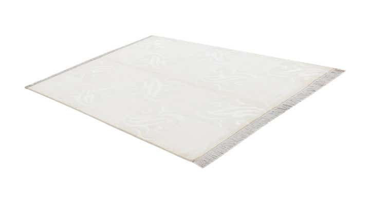 4' 9 x 6' 9 Hand Knotted Darya Wool Rug