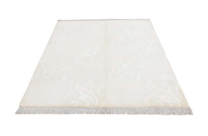 4' 9 x 6' 9 Hand Knotted Darya Wool Rug