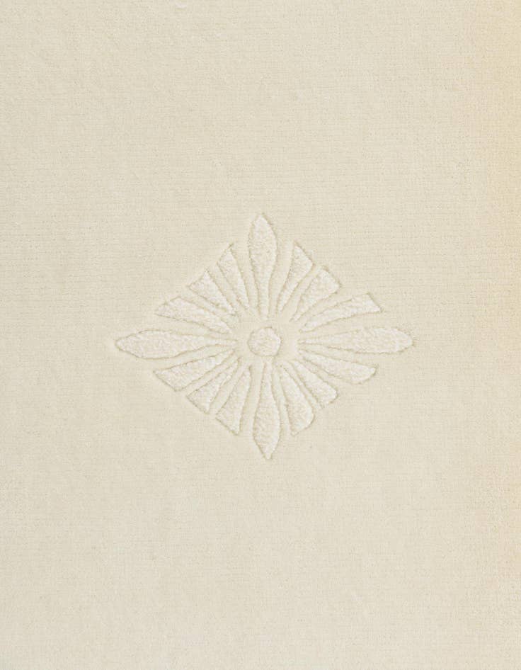 Detail image of 4' 8 x 6' 9  Hand Knotted Darya Wool Rug