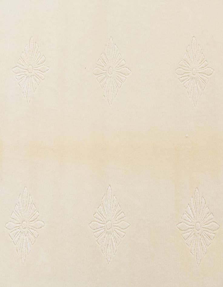 Detail image of 4' 6 x 6' 8  Hand Knotted Darya Wool Rug