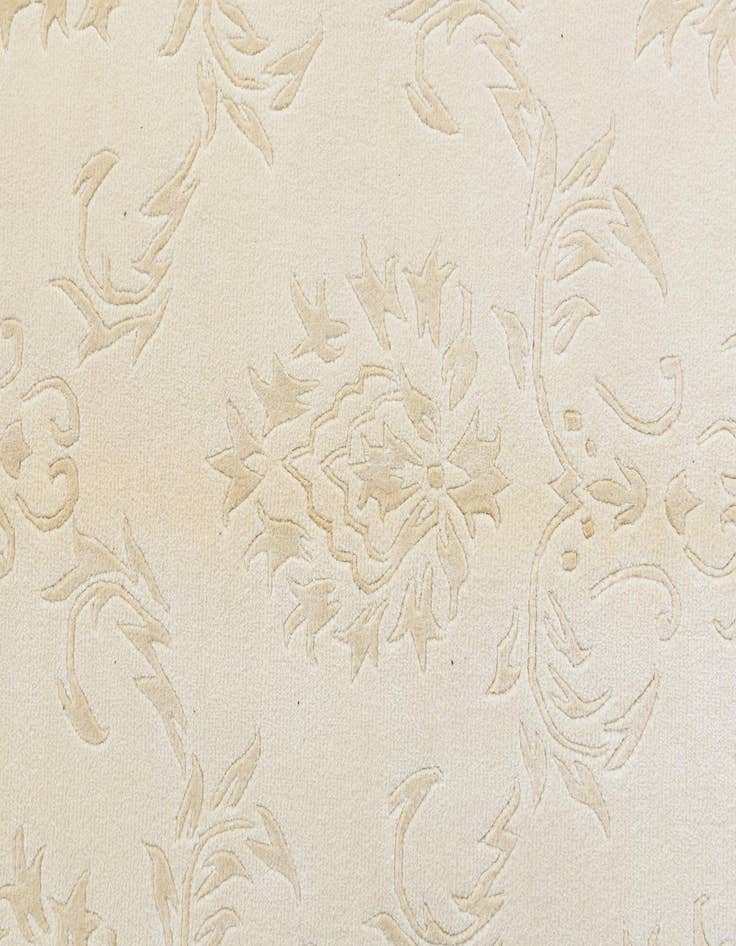 Detail image of 4' 7 x 6' 7  Hand Knotted Darya Wool Rug