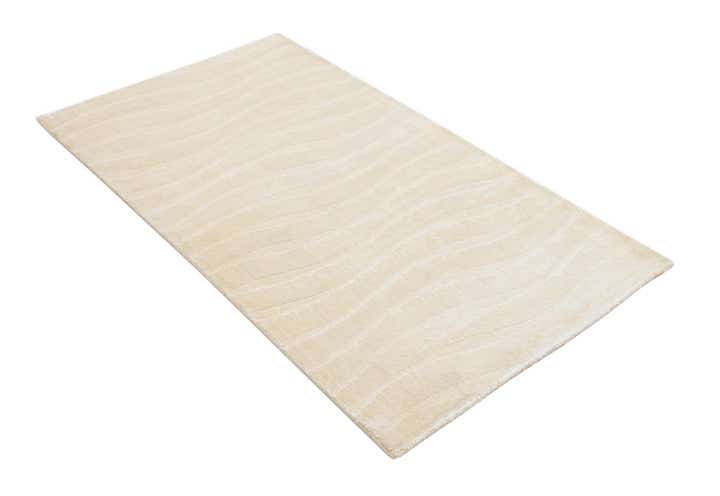 2' 7 x 4' 9 Hand Knotted Darya Wool Rug