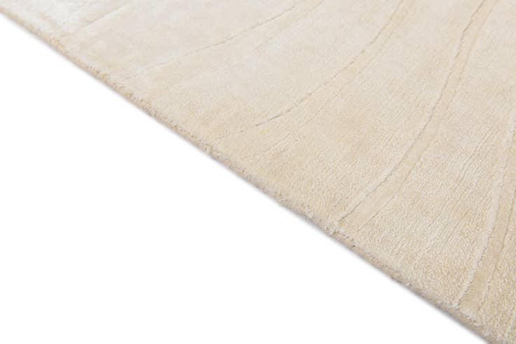 Detail image of 2' 7 x 4' 9 Hand Knotted Darya Wool Rug