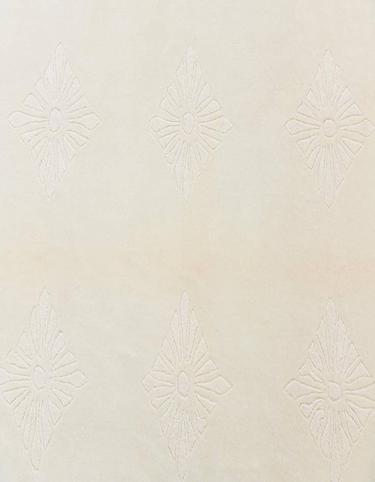 Detail image of 5' 7 x 7' 10  Hand Knotted Darya Wool Rug