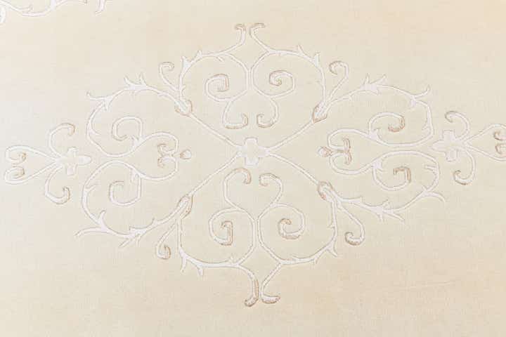 5' 9 x 8' Darya Rug