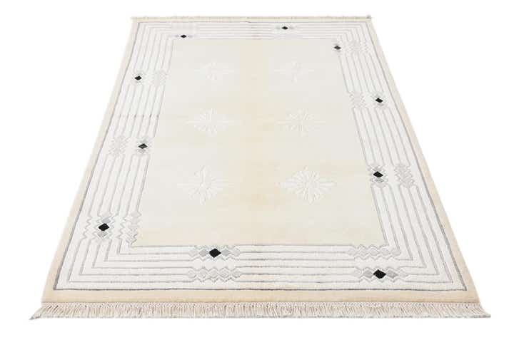 3' 11 x 5' 11 Hand Knotted Darya Wool Rug