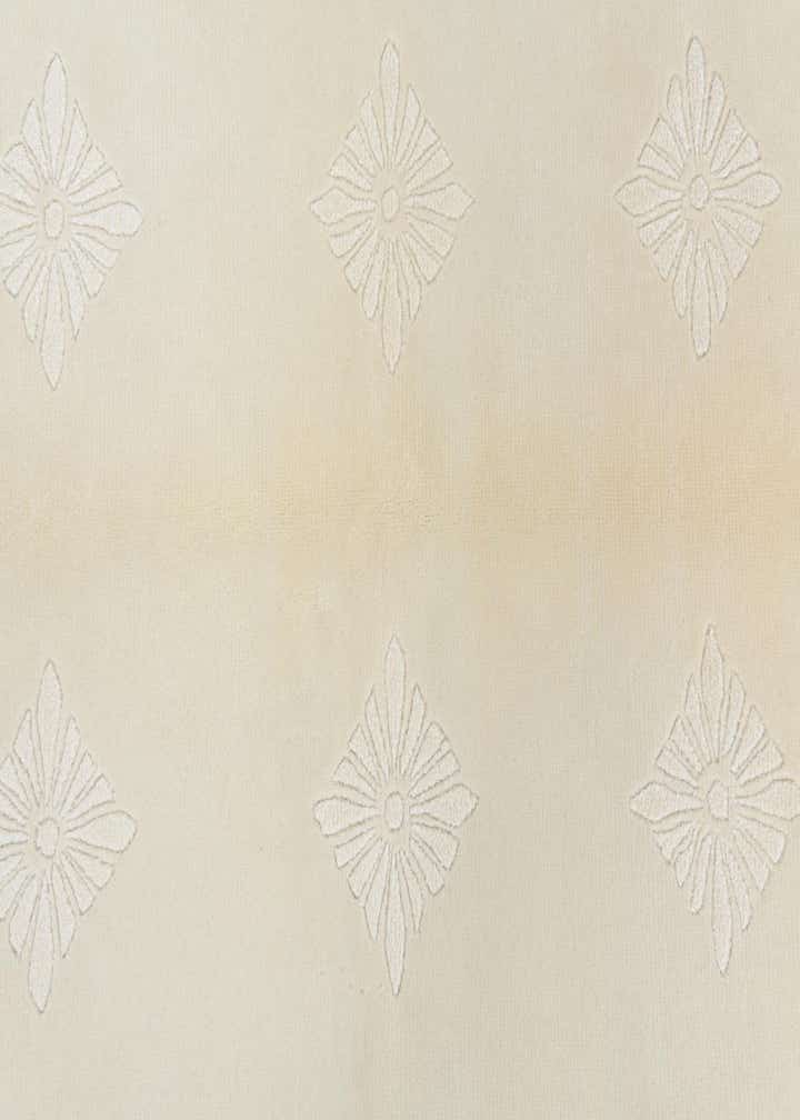 3' 11 x 5' 11 Hand Knotted Darya Wool Rug