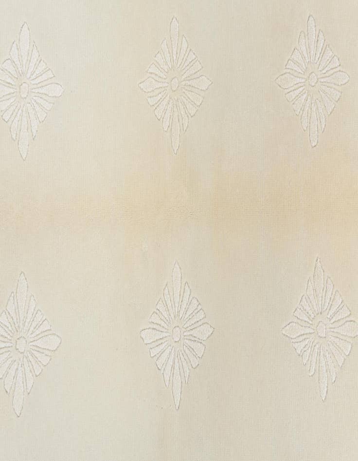 Detail image of 3' 11 x 5' 11  Hand Knotted Darya Wool Rug