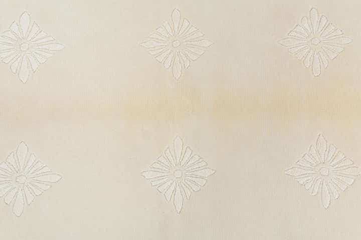3' 11 x 5' 11 Hand Knotted Darya Wool Rug
