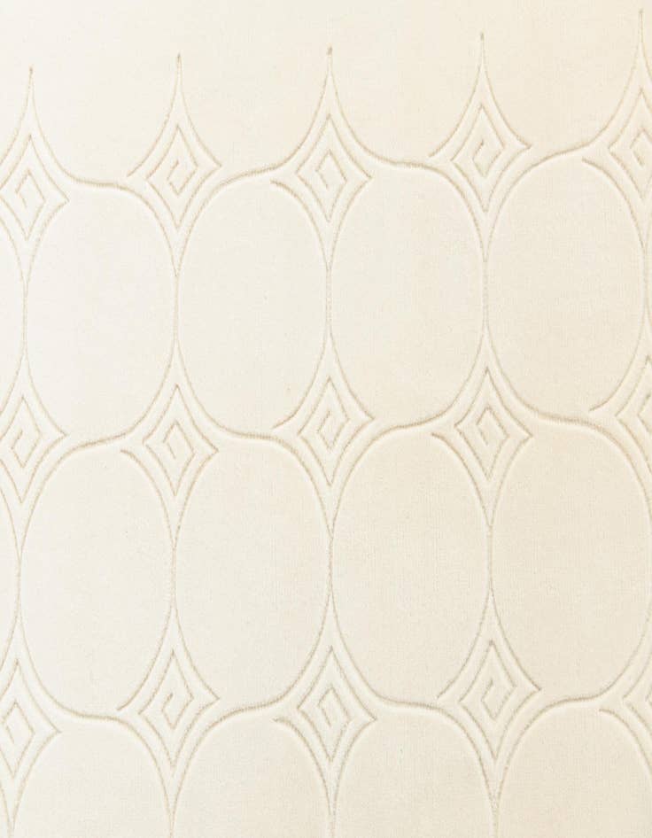 Detail image of 5' 7 x 7' 10  Hand Knotted Darya Wool Rug