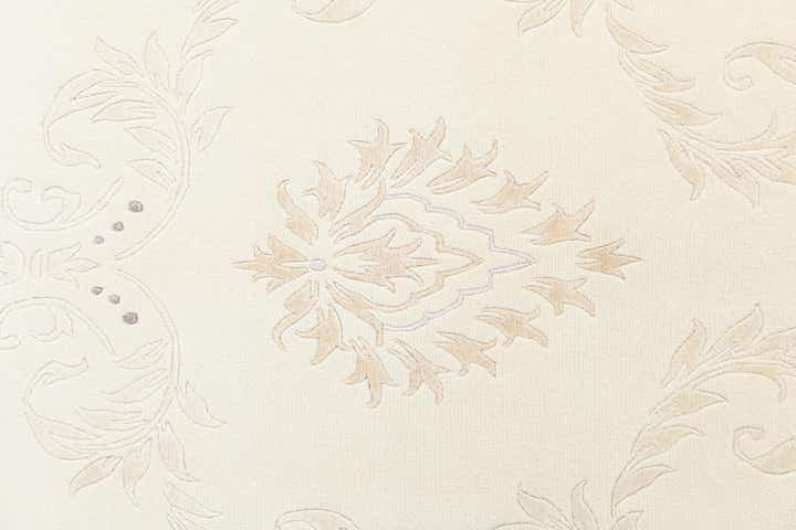 5' 6 x 8' Hand Knotted Darya Wool Rug