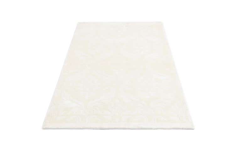 3' x 4' 11 Hand Knotted Darya Wool Rug