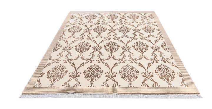 5' 9 x 8' Darya Rug