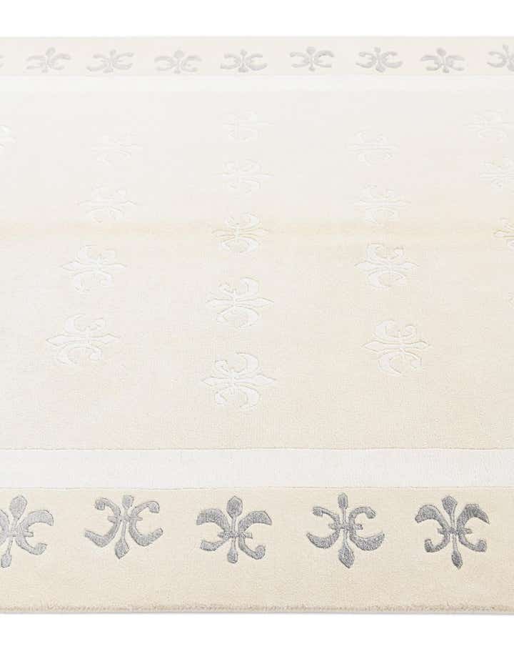 4' 11 x 6' 7 Darya Rug