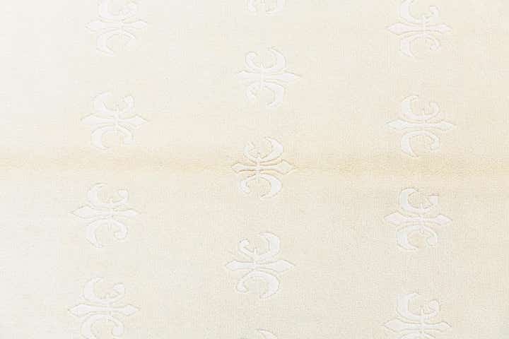 4' 11 x 6' 7 Darya Rug