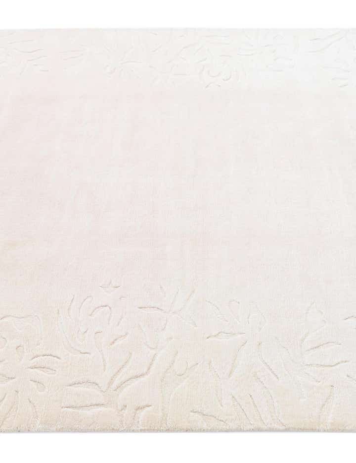 4' 7 x 6' 6 Darya Rug