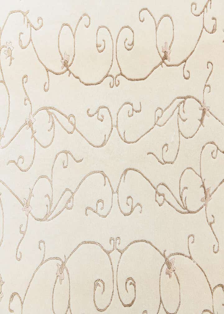 4' 11 x 6' 9 Darya Rug