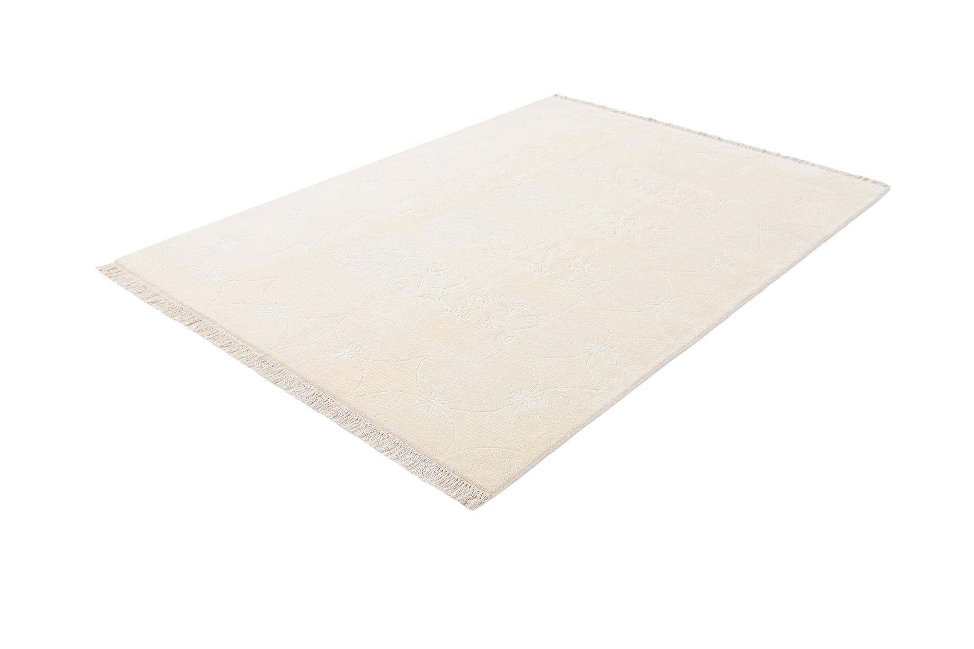 4' 11 x 6' 11 Darya Rug
